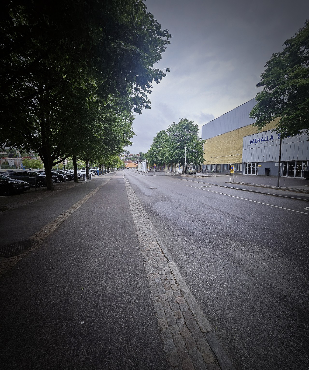 Trädkantad gata vid Valhalla — promenaden mot mottagningen